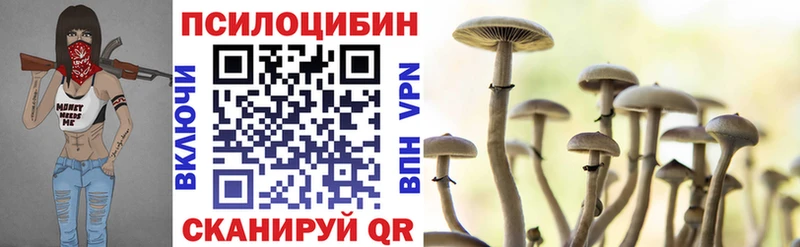 Галлюциногенные грибы GOLDEN TEACHER  купить   Заринск 