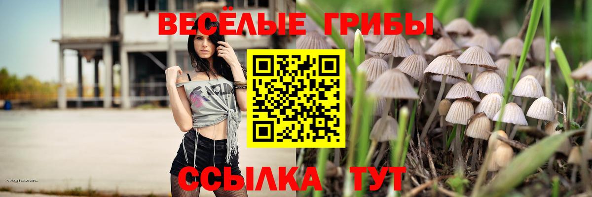 Псилоцибиновые грибы ЛСД  Галлюциногенные грибы прущие грибы  Заринск  Вход с VPN 