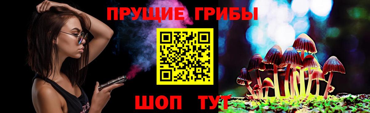 Псилоцибиновые грибы Psilocybine cubensis Заринск